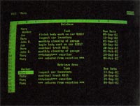 Matching records shown in a separate area in the bottom half of the screen.