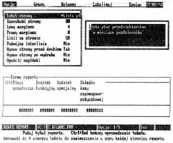 1. A screen from dBASE POLONUS: polish letters were obtained by changing screen mode from text to graphical. Instead of increased intensity – bolder face.