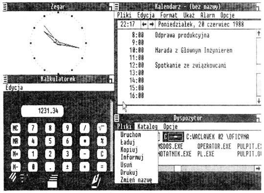 4. Polonized MS-Windows.